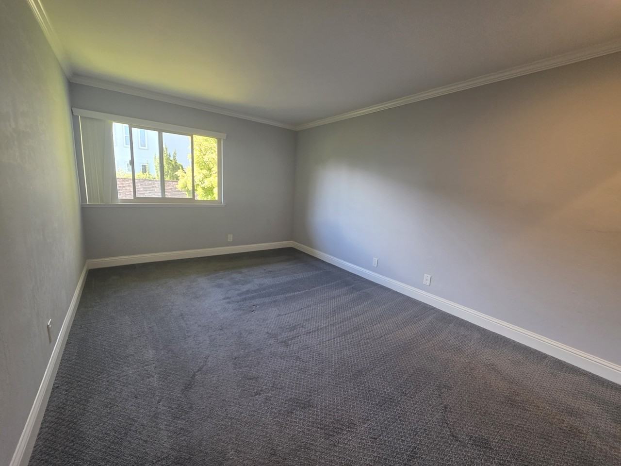 131 Elm Street - Photo 7 of 11