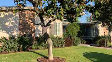 featured image of 116 Violet Ave