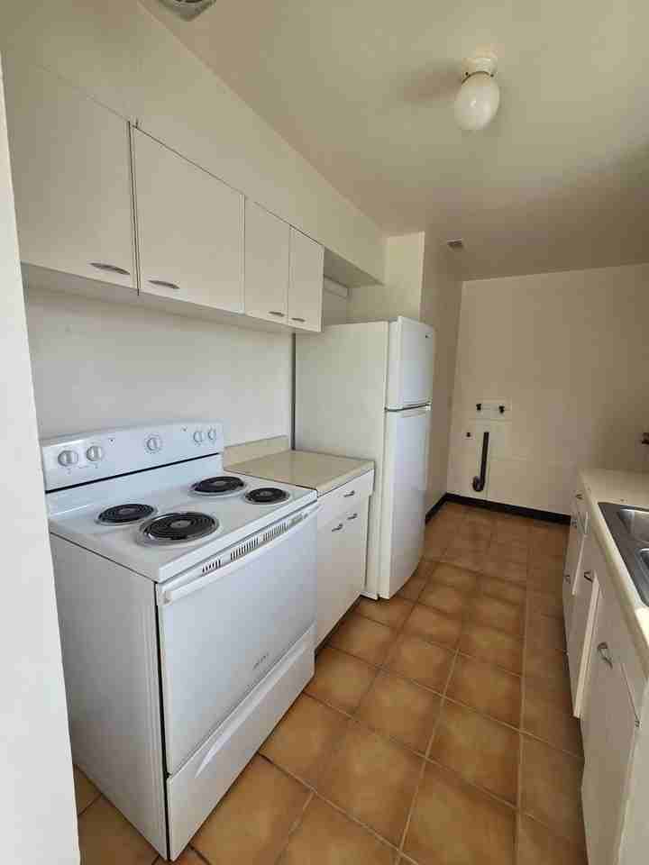 1204 Doolittle Dr - Photo 5 of 13