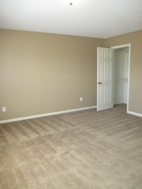 909 Whitetail Ct - Photo 6 of 13