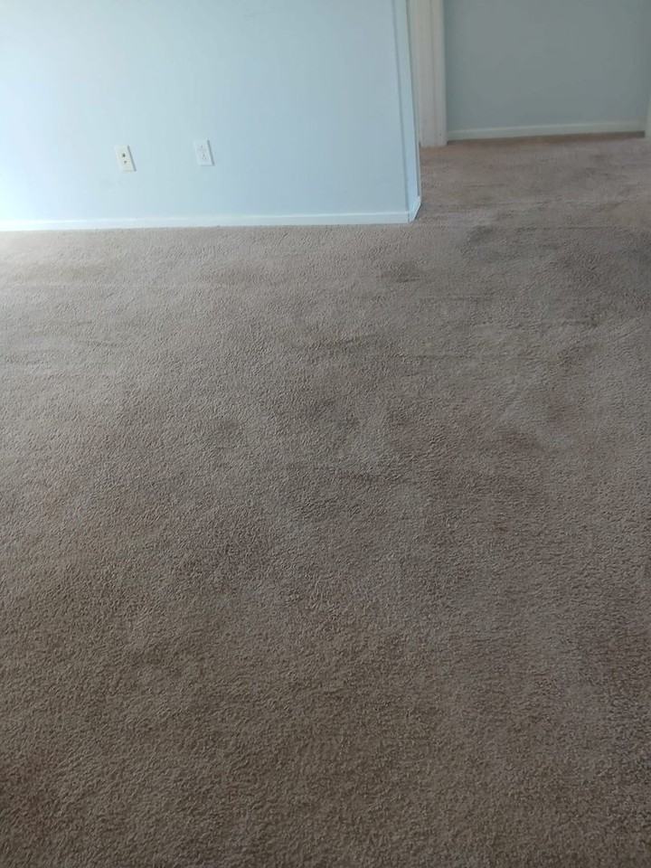 686 Las Dunas St - Photo 7 of 15