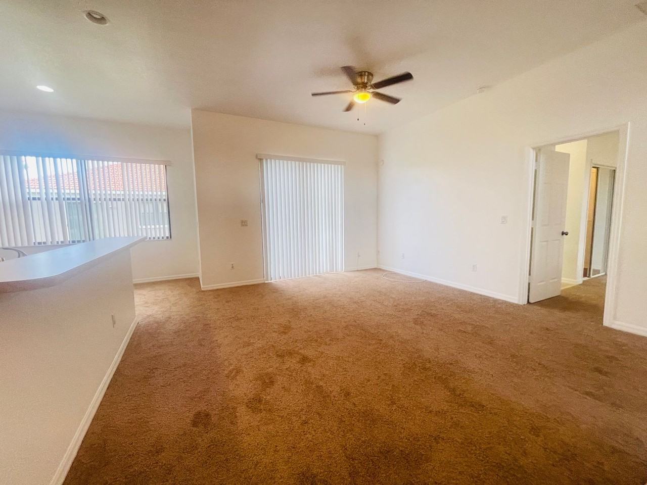 446 Caraway Dr - Photo 5 of 28