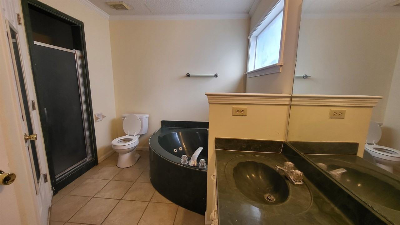 2232 Lake Springs Ln - Photo 6 of 10