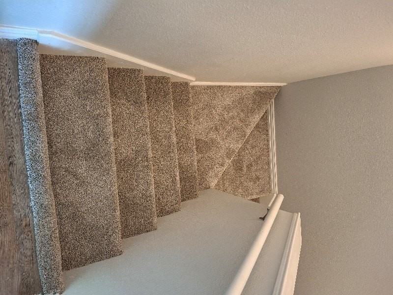 4504 Alamosa St - Photo 6 of 21