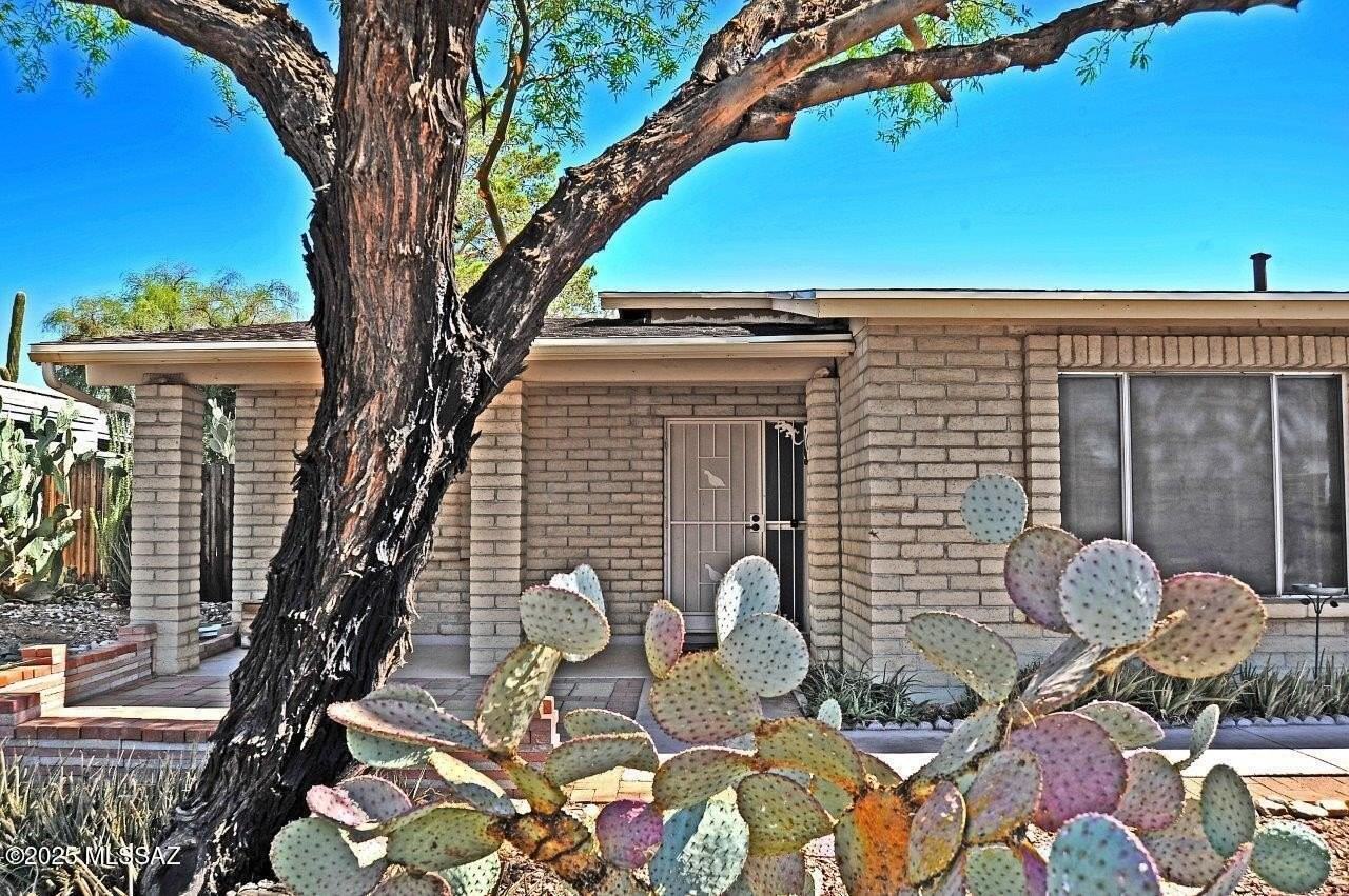 4741 W Red Wolf Dr - Photo 4 of 44