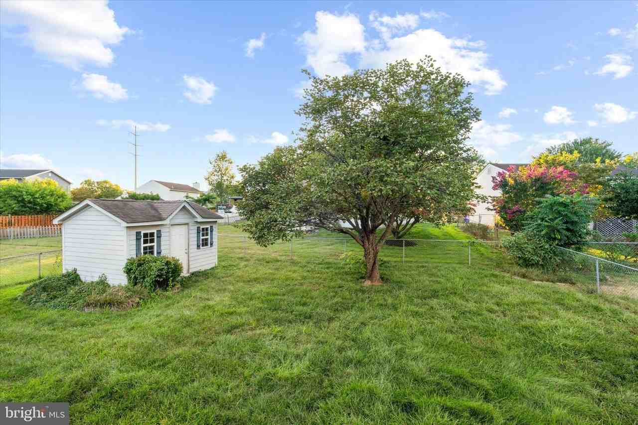 841 Briar Ct - Photo 4 of 20