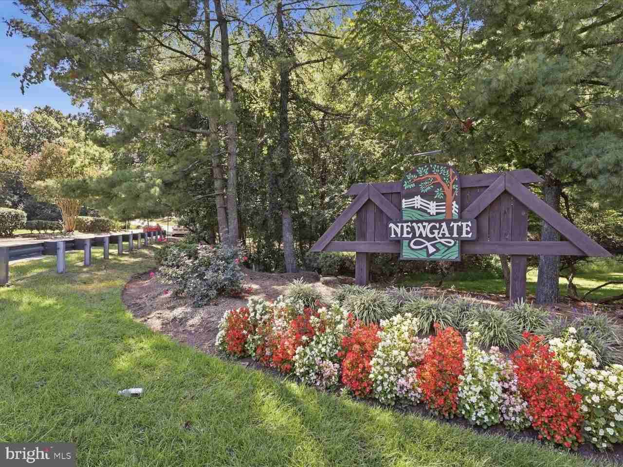 14314 Watery Mountain Ct