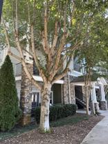 200 Vista Lake Dr #304 - Photo 1 of 1