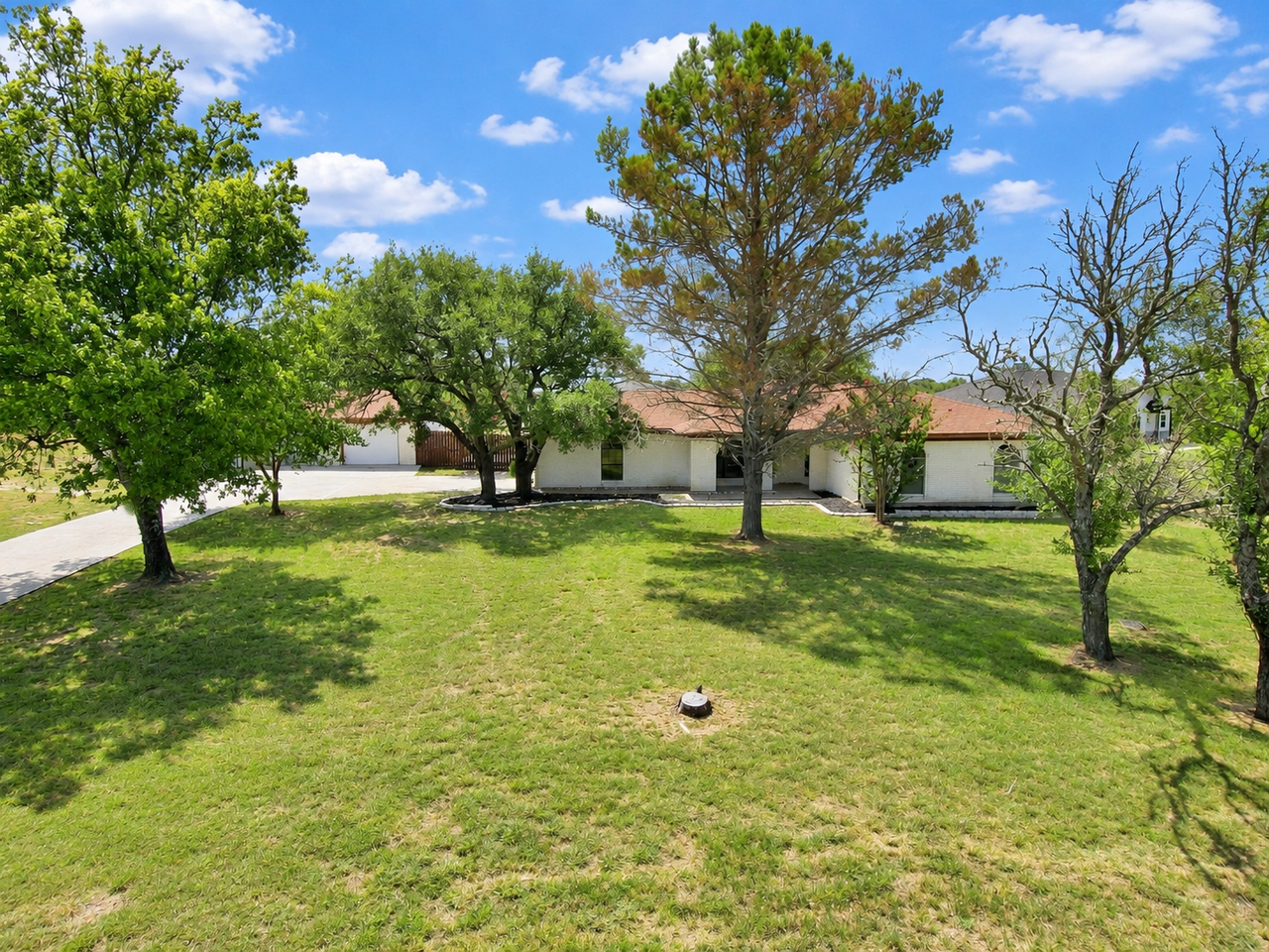 3251 Arbolado Calzada - Photo 3 of 39