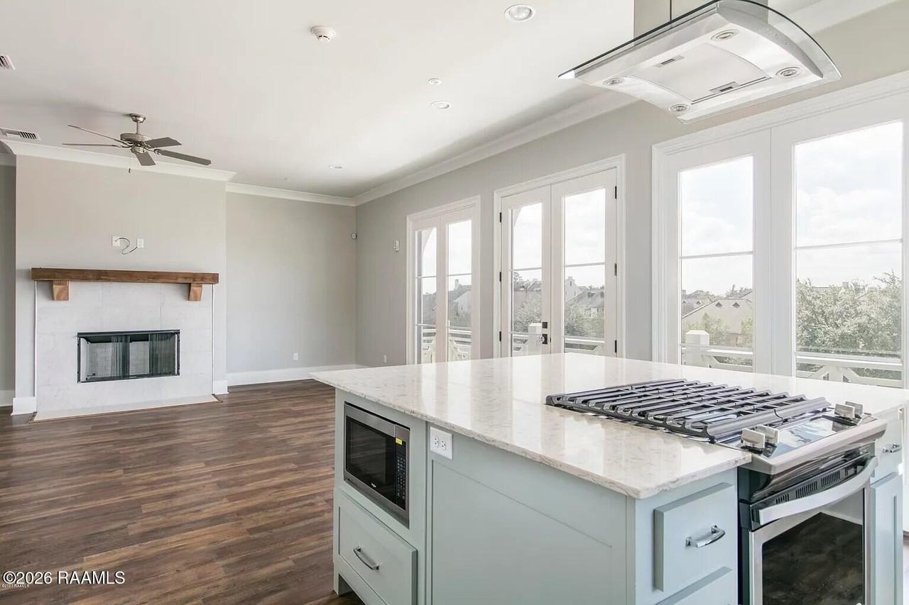 1007 Camellia Blvd #200 - Photo 3 of 6