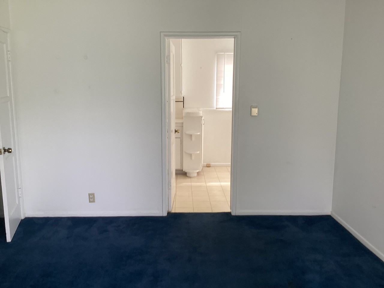 1135 Okoboji Dr #NA - Photo 4 of 14