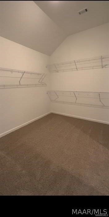 804 Hedgefield Way - Photo 6 of 14