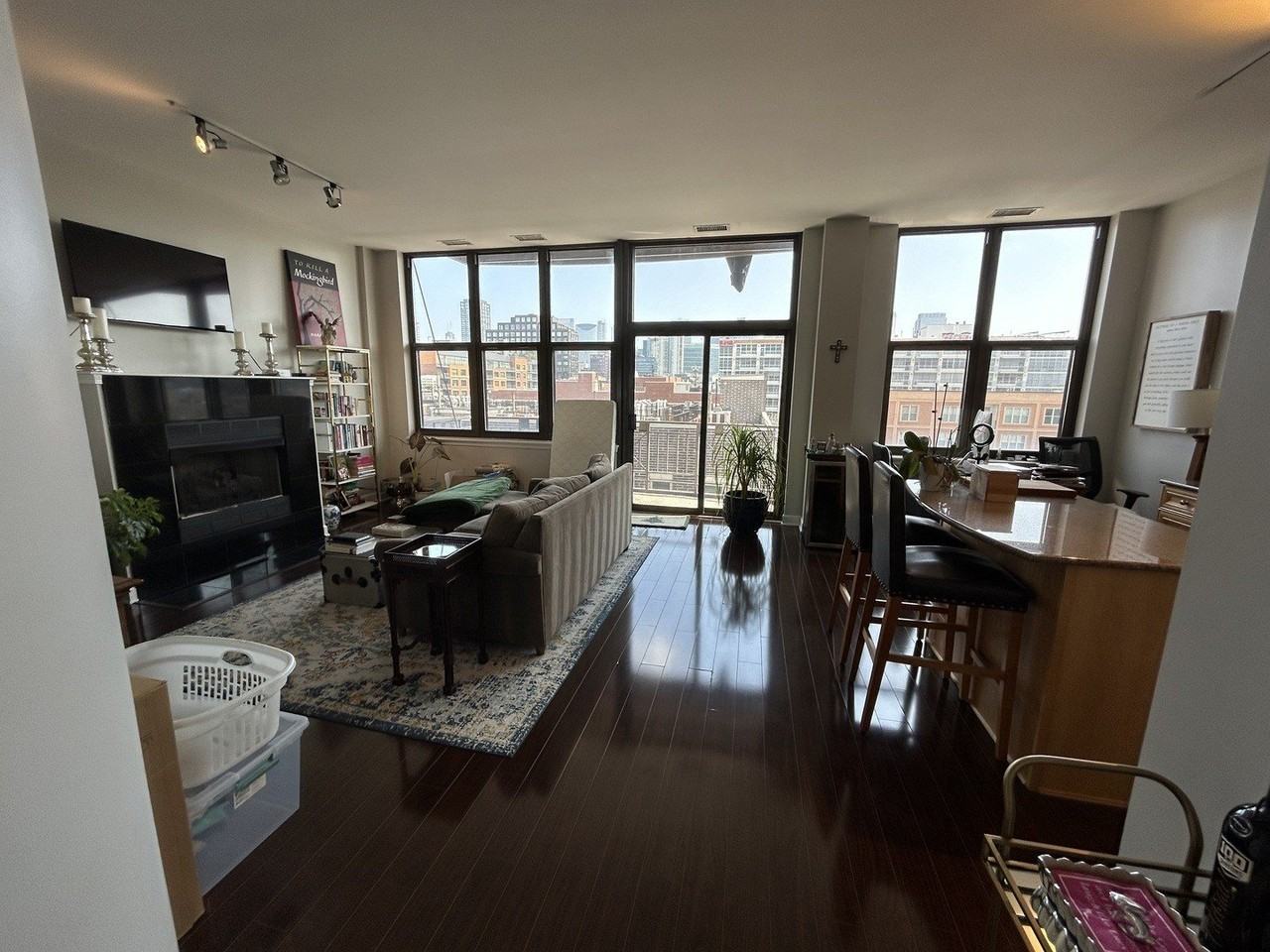15 S Throop St #506 - Photo 2 of 10