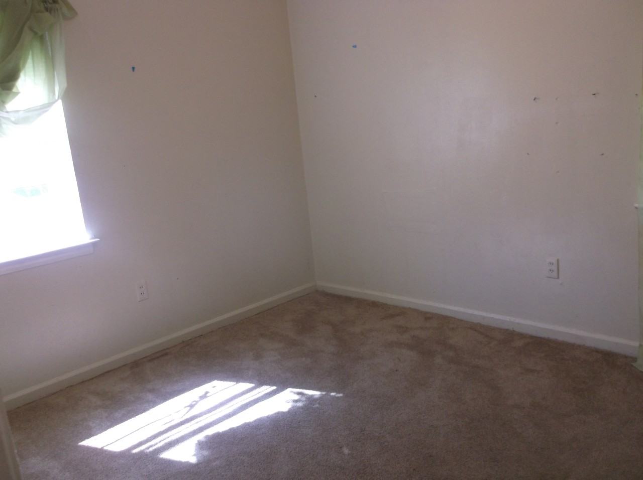 3715 Edgefield Cv - Photo 3 of 16