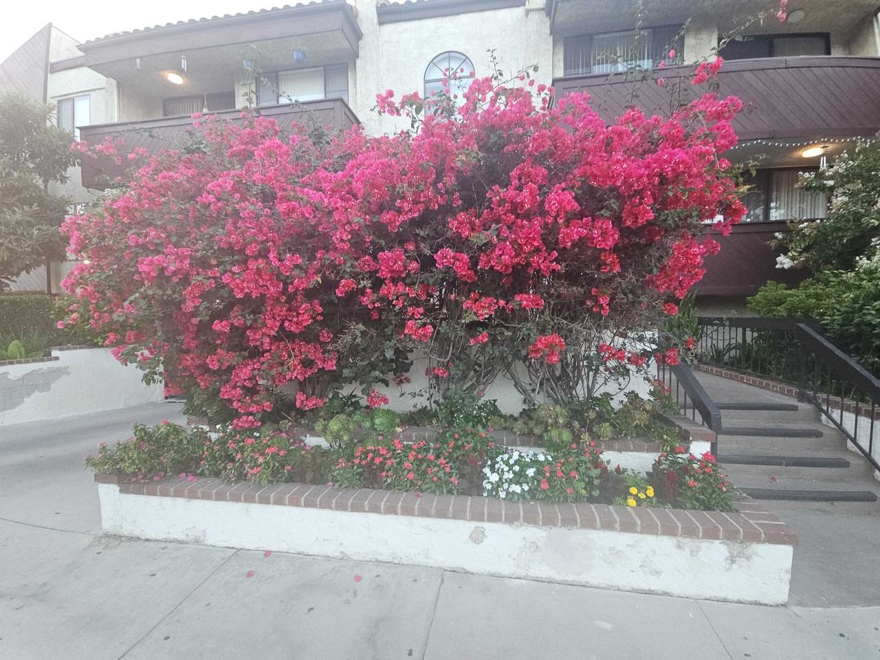Magnolia Blvd - Photo 3 of 40