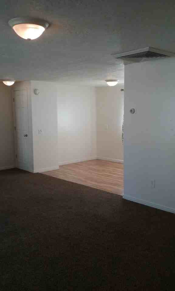 1347 1347 West 570 North Street - Photo 3 of 11