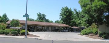 featured image of Peppermint Dr