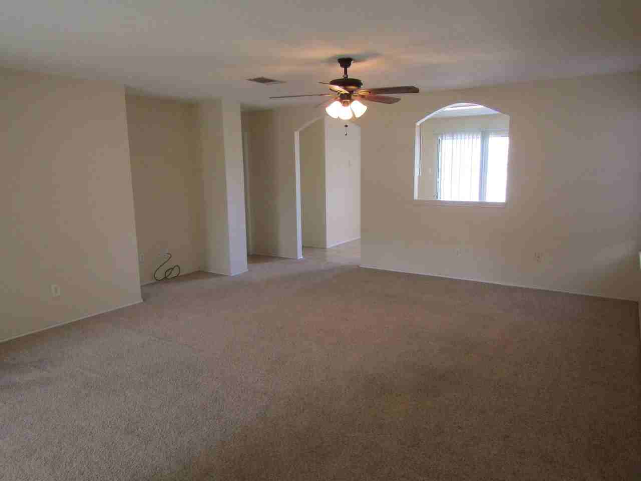 3913 Haleys Way - Photo 3 of 19