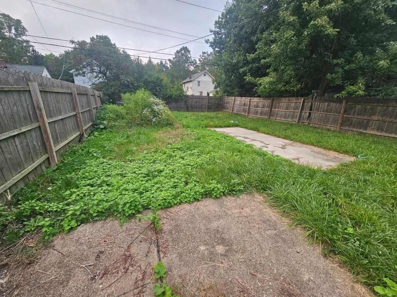 1440 E 221st St - Photo 4 of 20