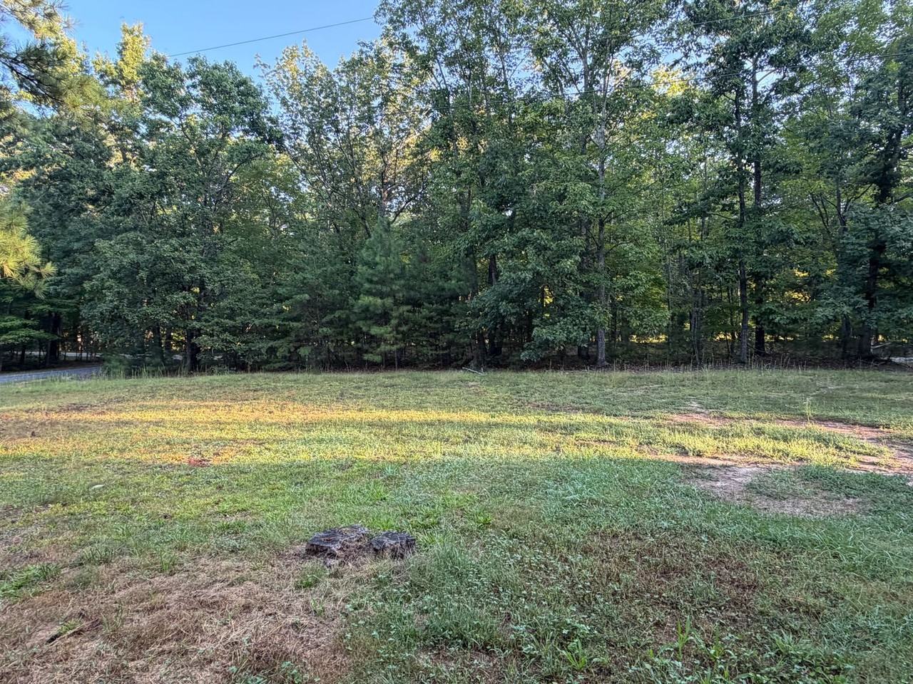 7838 Bridgeport Rd - Photo 4 of 27