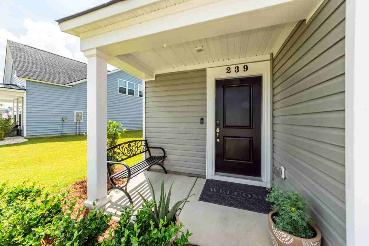 239 Pine Crest View Dr - Photo 3 of 45