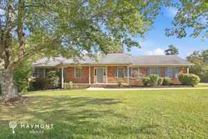 featured image of 1202 Green Fern Dr