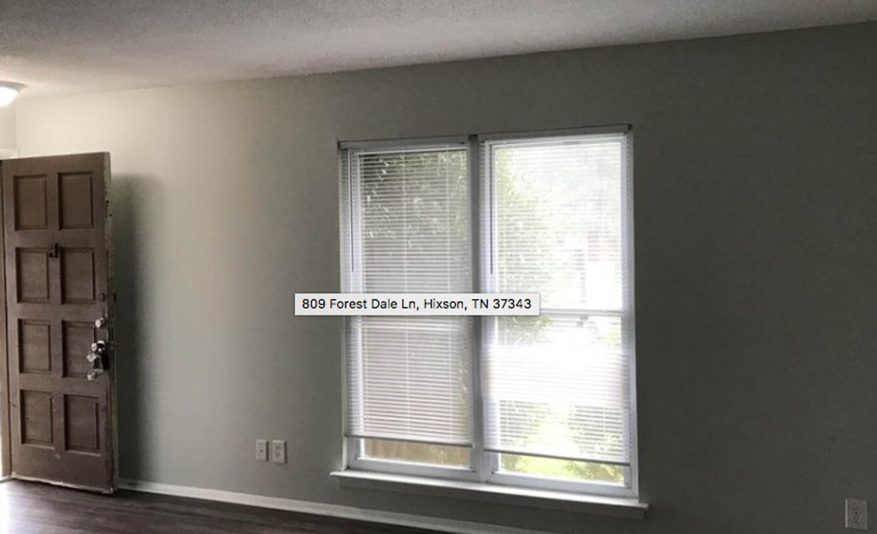 809 Forest Dale Ln - Photo 3 of 12