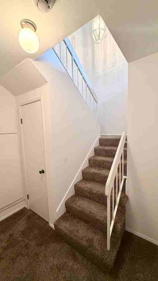 6241 Caminito Basilio - Photo 7 of 18