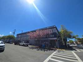 featured image of 516 G St