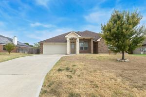 featured image of 207 Black Walnut Ct