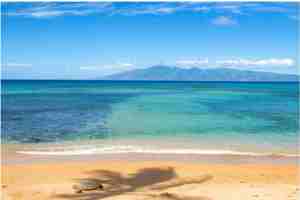 featured image of 3875L Honoapiilani Hwy