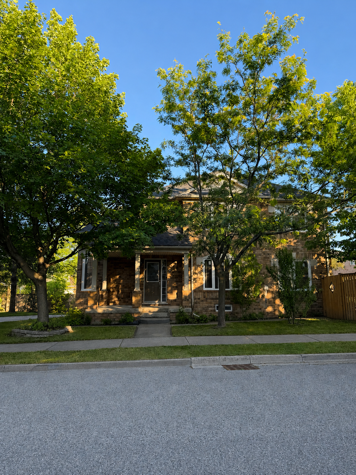 9 Unsworth Street - Photo 2 of 17