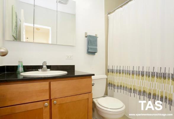 4607 N Sheridan Rd #1112 - Photo 3 of 14