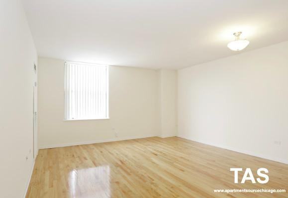 4607 N Sheridan Rd #1112 - Photo 5 of 14