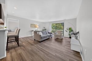 featured image of 28733 Franklin River Dr