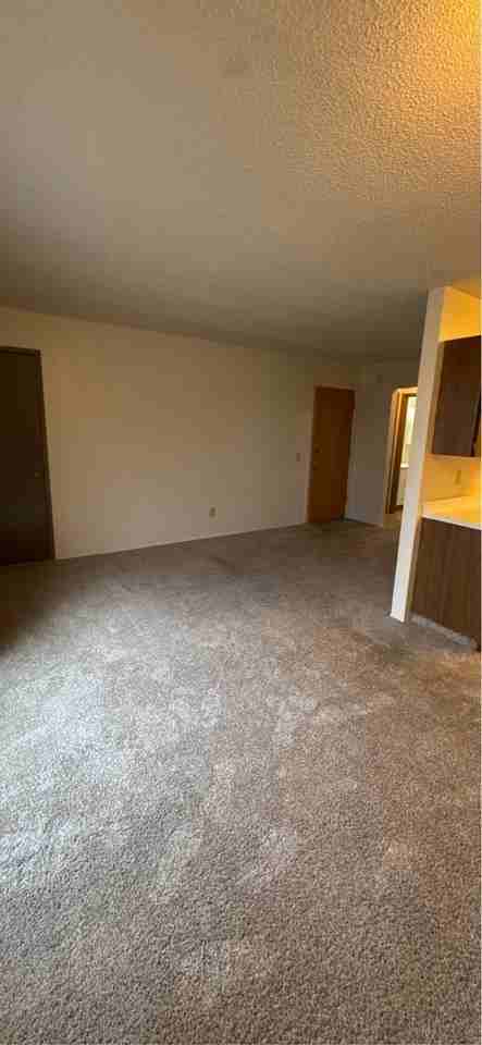 6135 E Tudor Rd #40 - Photo 2 of 10