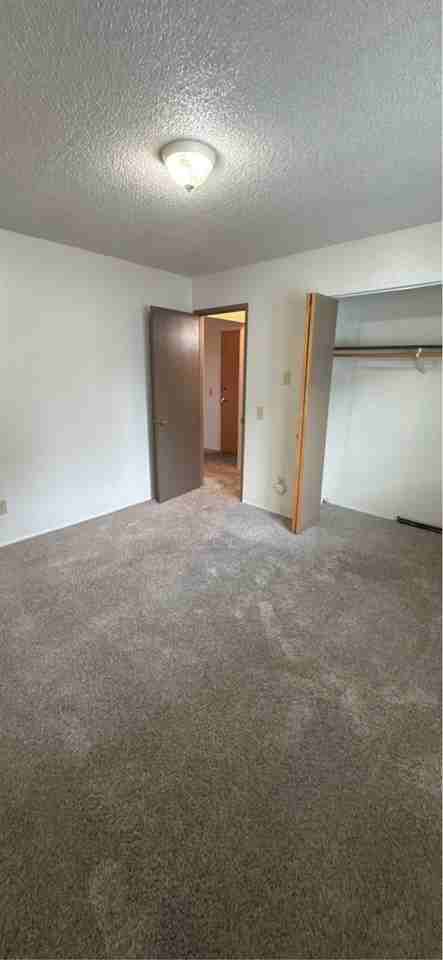 6135 E Tudor Rd #40 - Photo 4 of 10