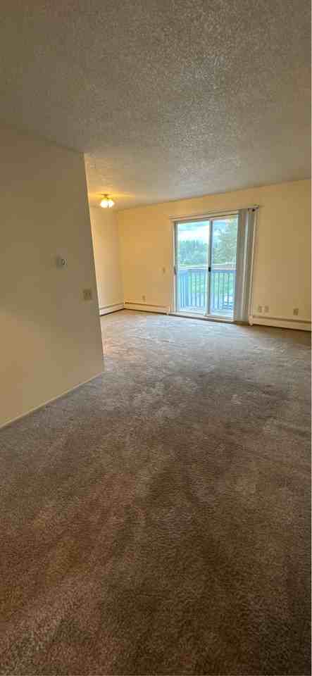 6135 E Tudor Rd #40 - Photo 7 of 10