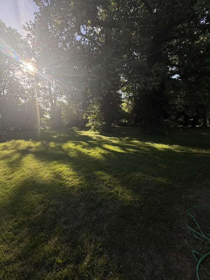 6625 Thurston Ave - Photo 5 of 10