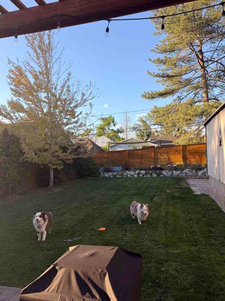 1329 E Browning Ave - Photo 2 of 18