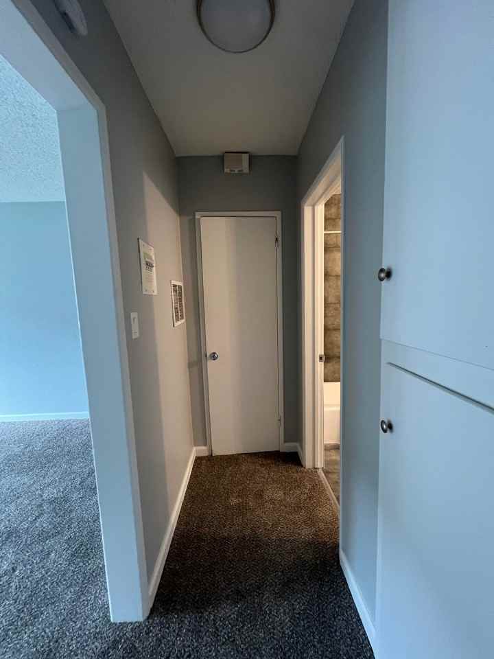 319 N Bush St #4 - Photo 5 of 7