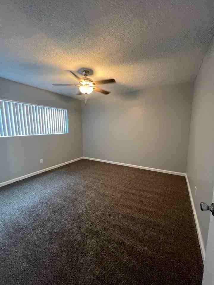 319 N Bush St #4 - Photo 6 of 7