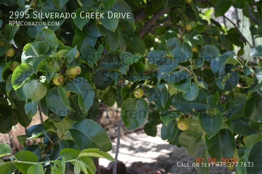 2995 Silverado Creek Dr - Photo 3 of 24