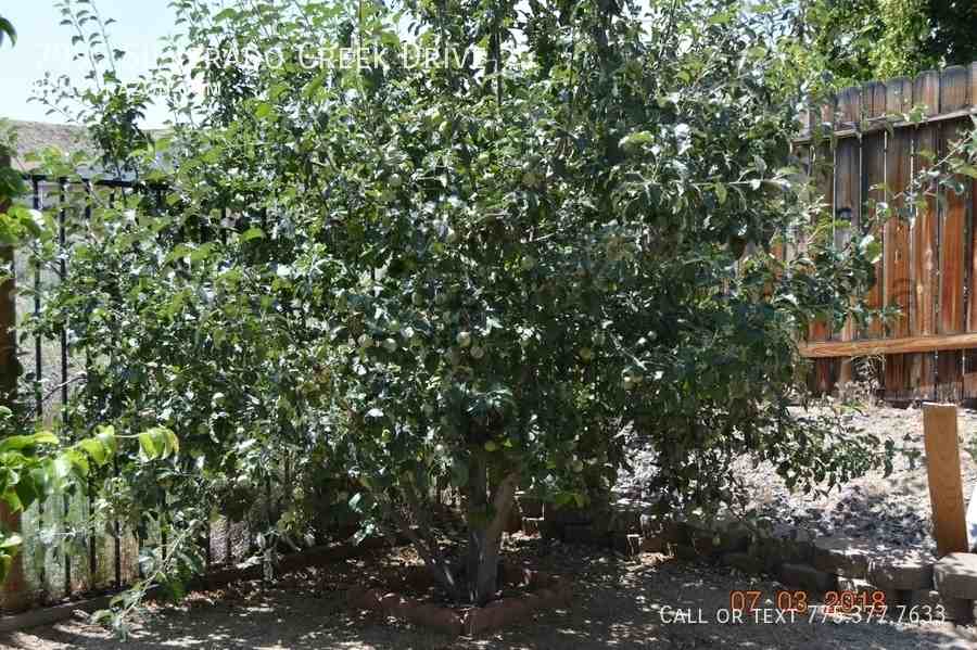 2995 Silverado Creek Dr - Photo 4 of 24