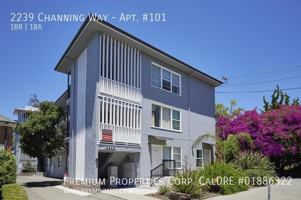 featured image of 2239 Channing Way #101