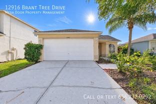 12916 Brant Tree Dr - Photo 1 of 1
