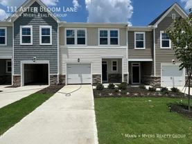 111 Aster Bloom Ln - Photo 1 of 1