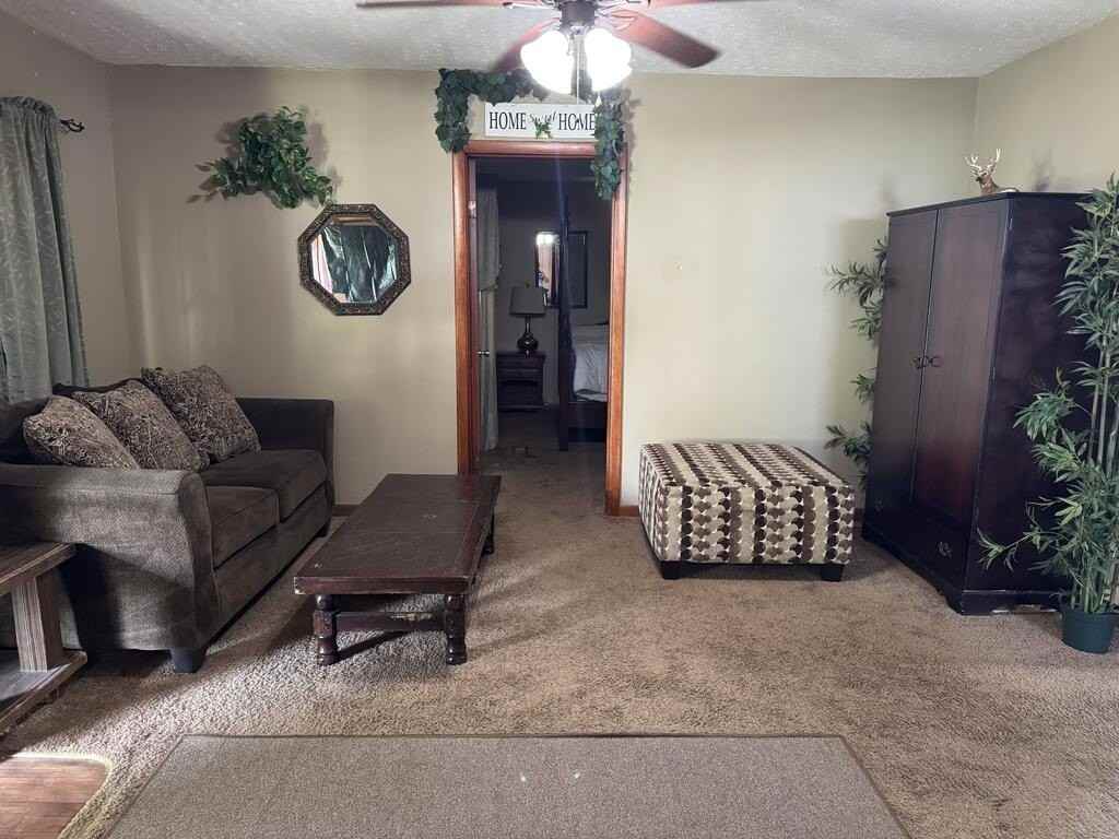 233 Brethren Church Road - Photo 3 of 8