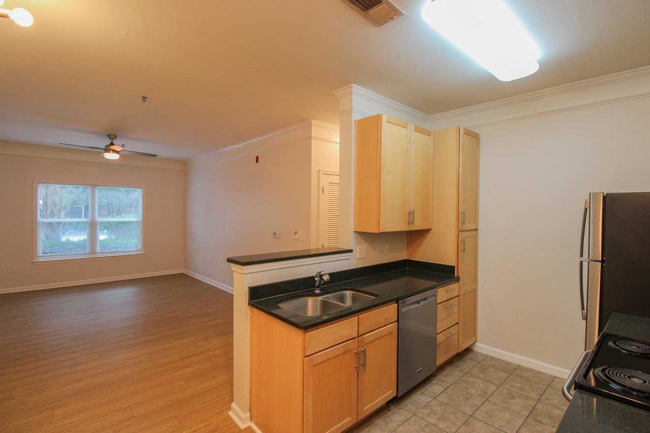 1755 Central Park Rd #4101 - Photo 2 of 23