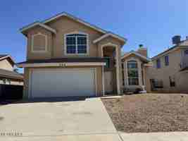 featured image of 404 Desert Chicory St